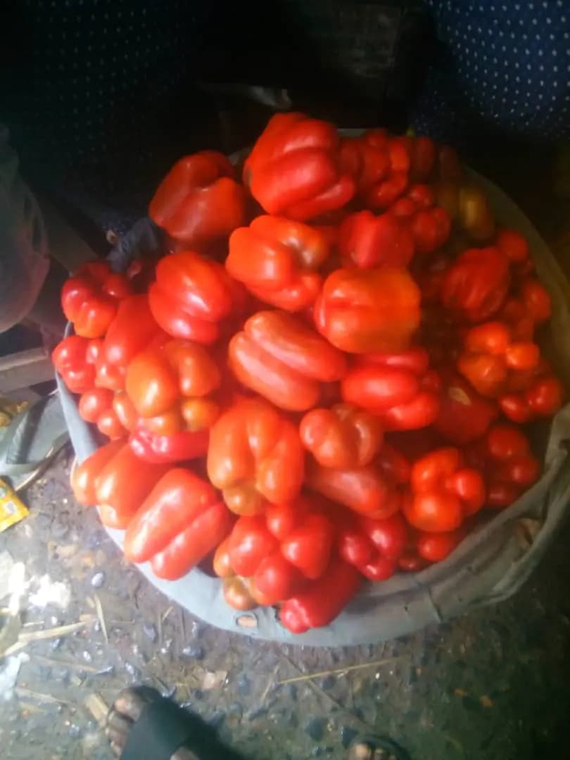 Fresh produce prepared for packaging